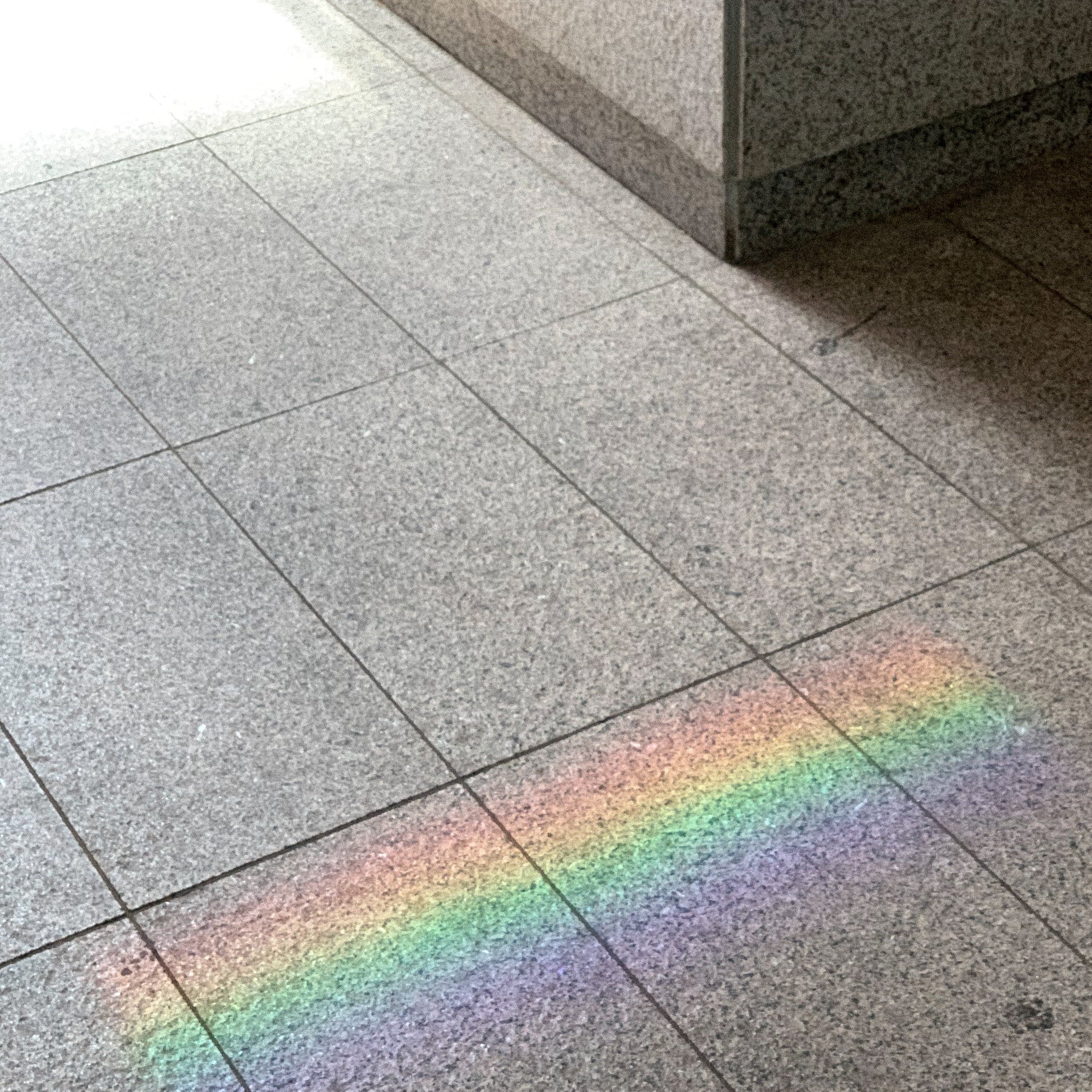 Principles of Homeopathy