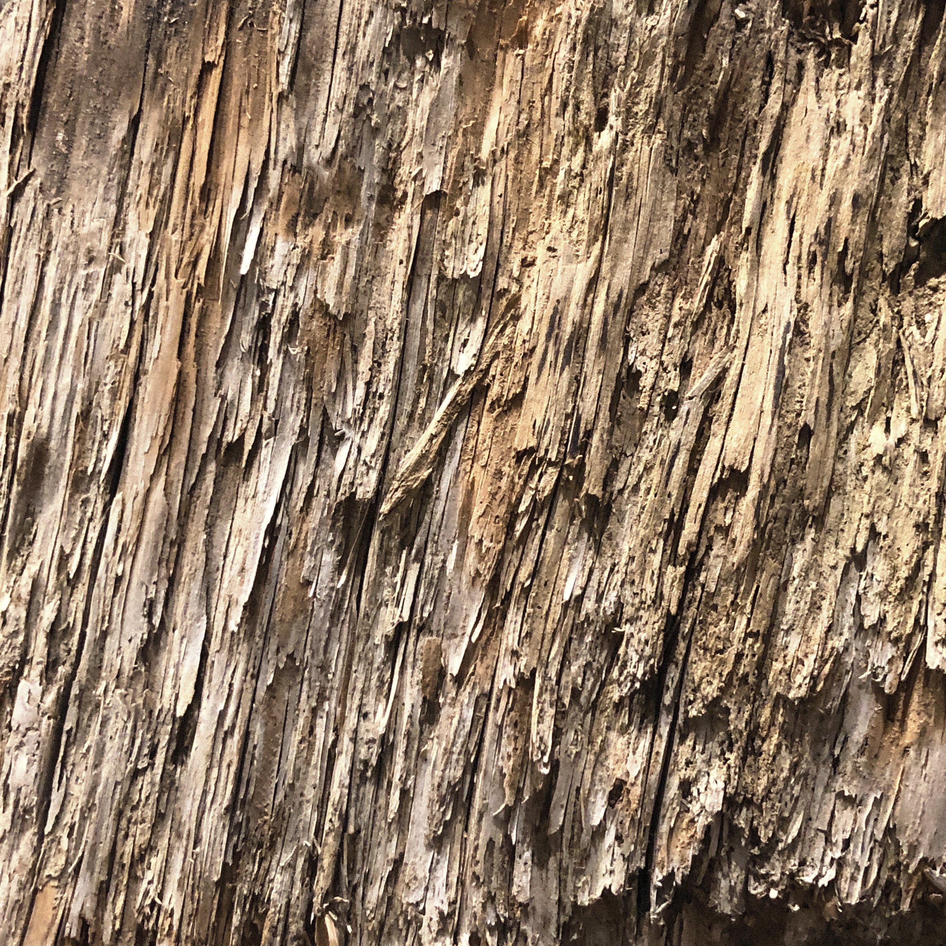 Methods to help Limit your Child’s Screen Time