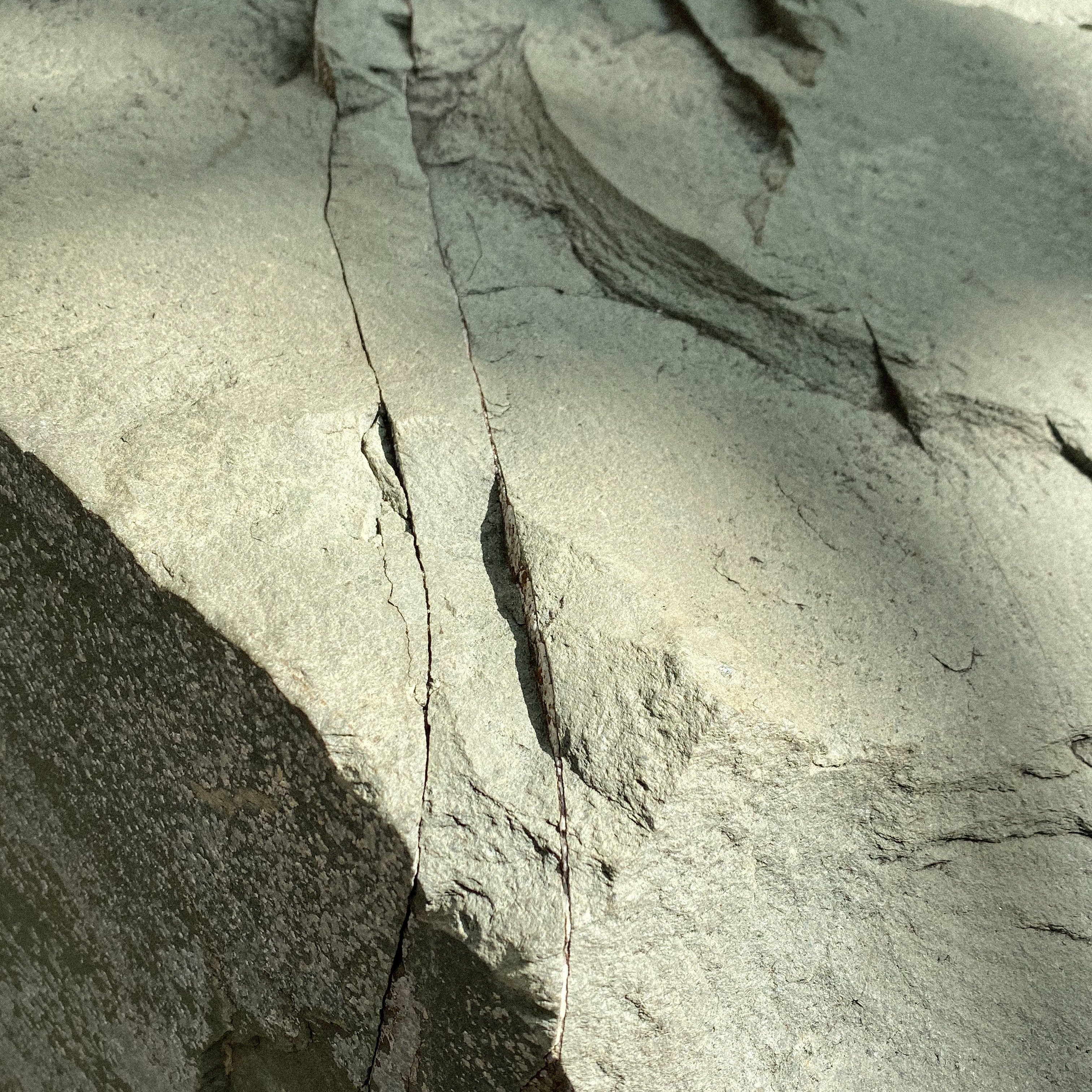 Foods you Should know about when on a Low Carb Diet