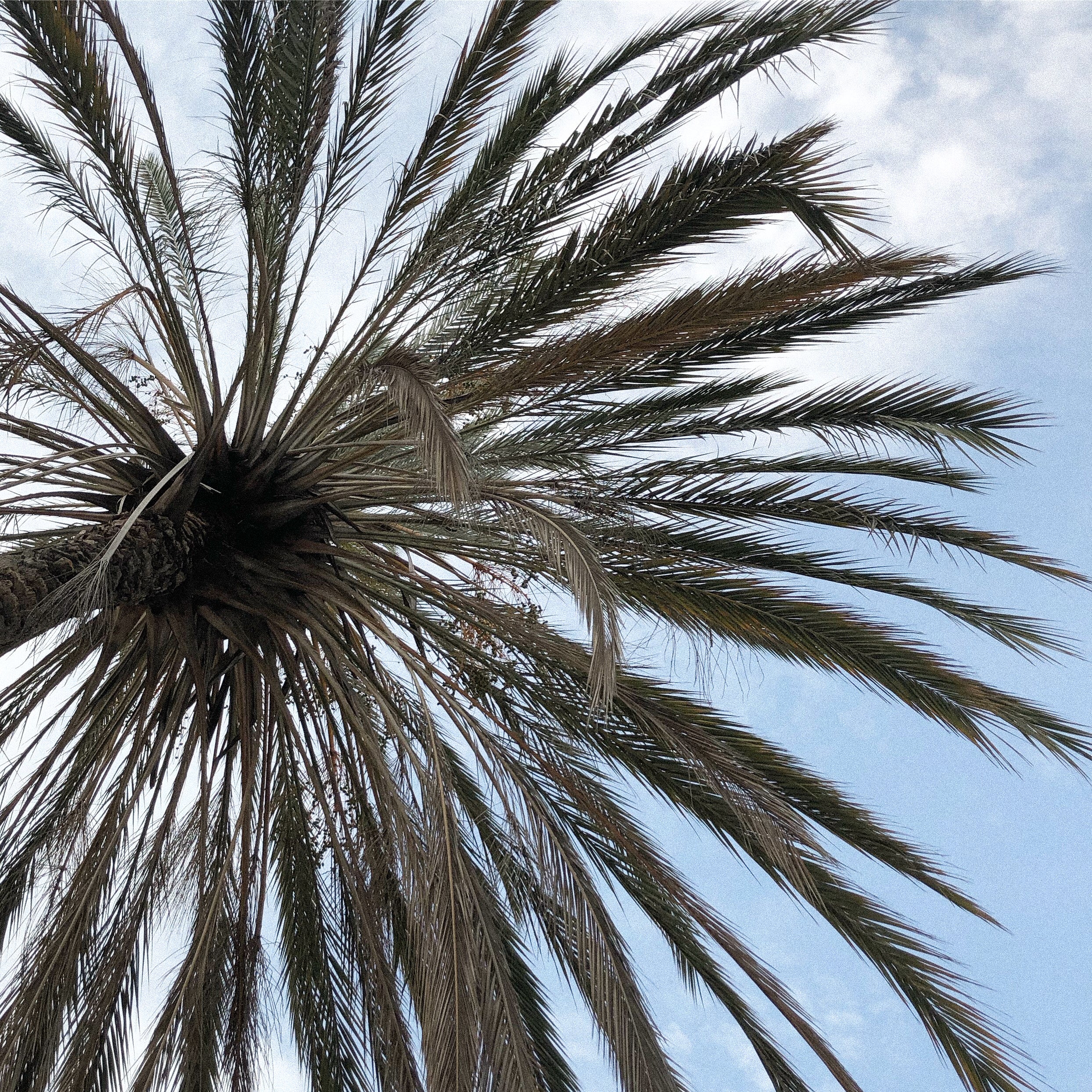 Strength Training Exercises for Older Adults