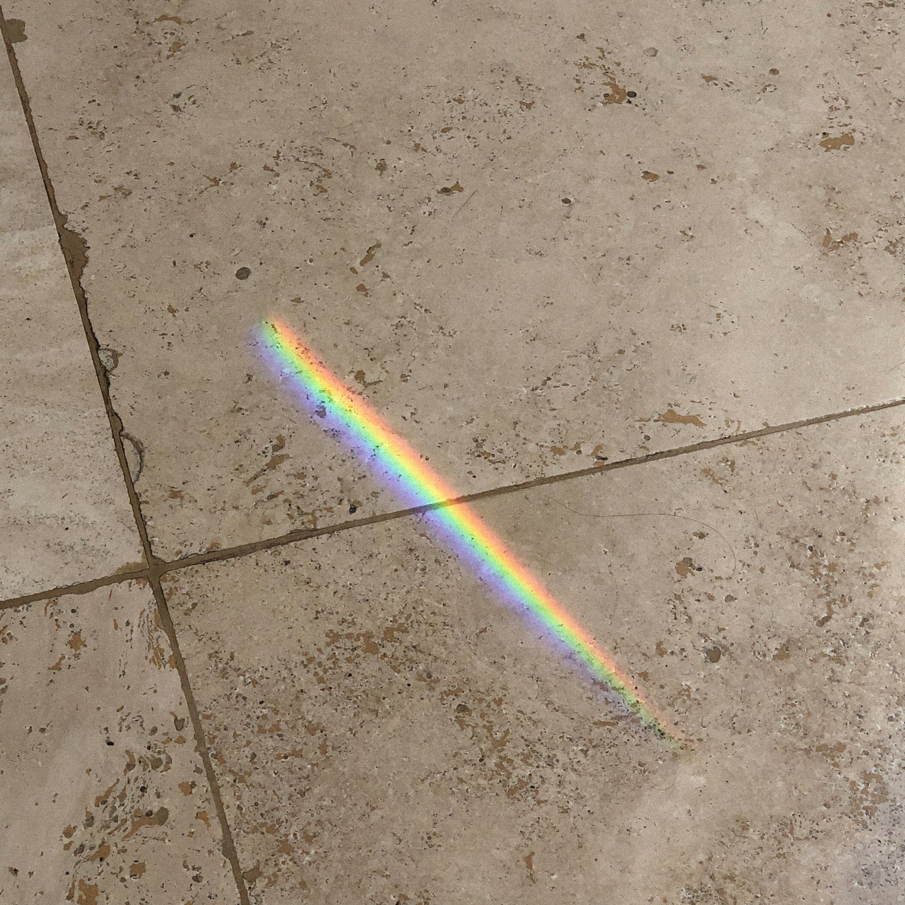 Functional Fitness: Benefits and More