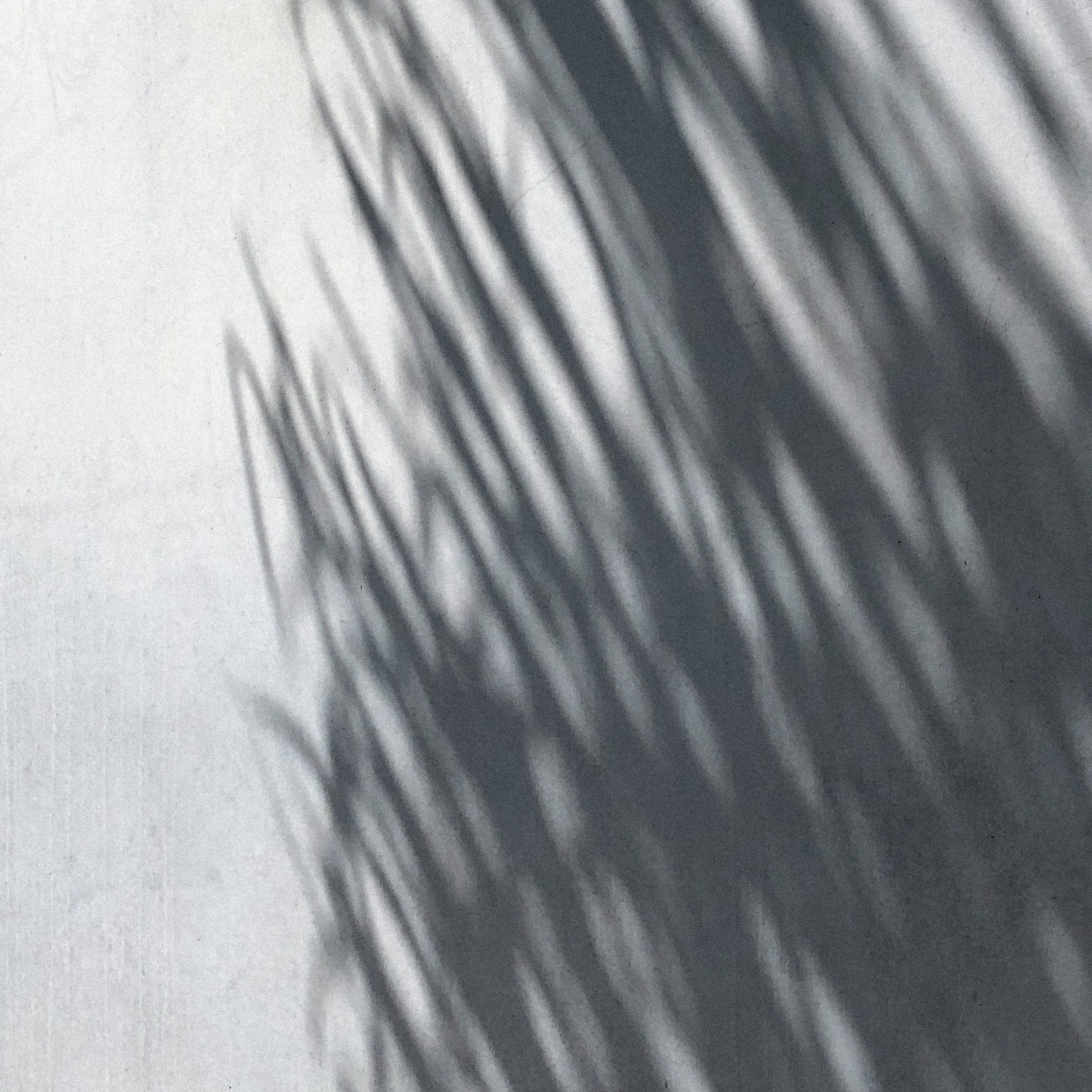 The Health Benefits of Ashwaganhda