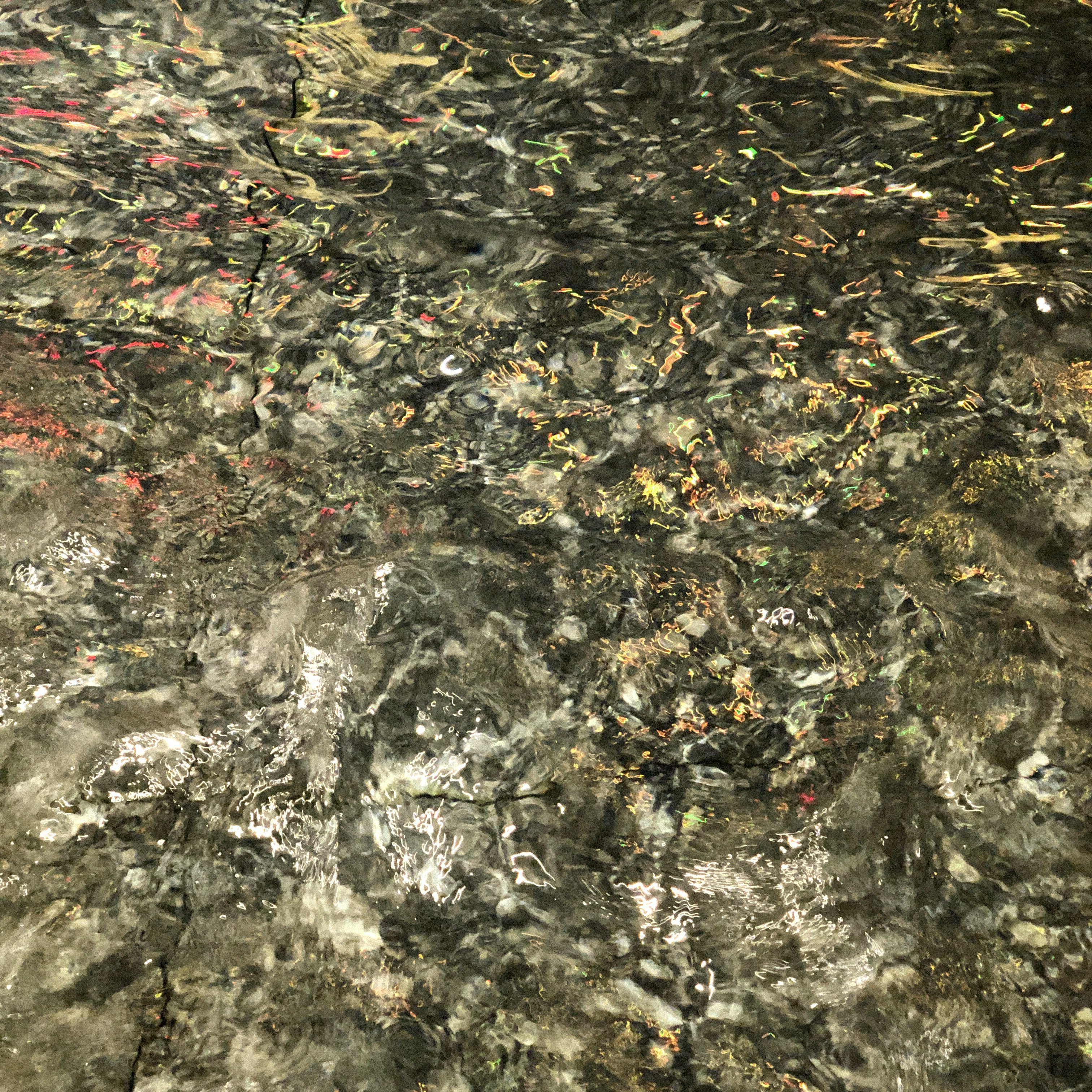 Important Information Regarding COVID-19