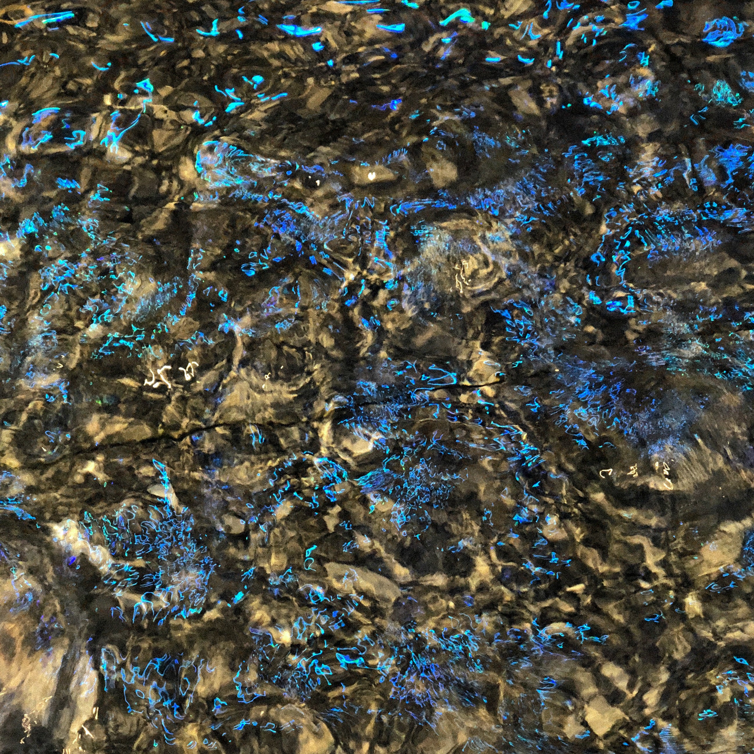 Helpful Tips on Improving Gut Health