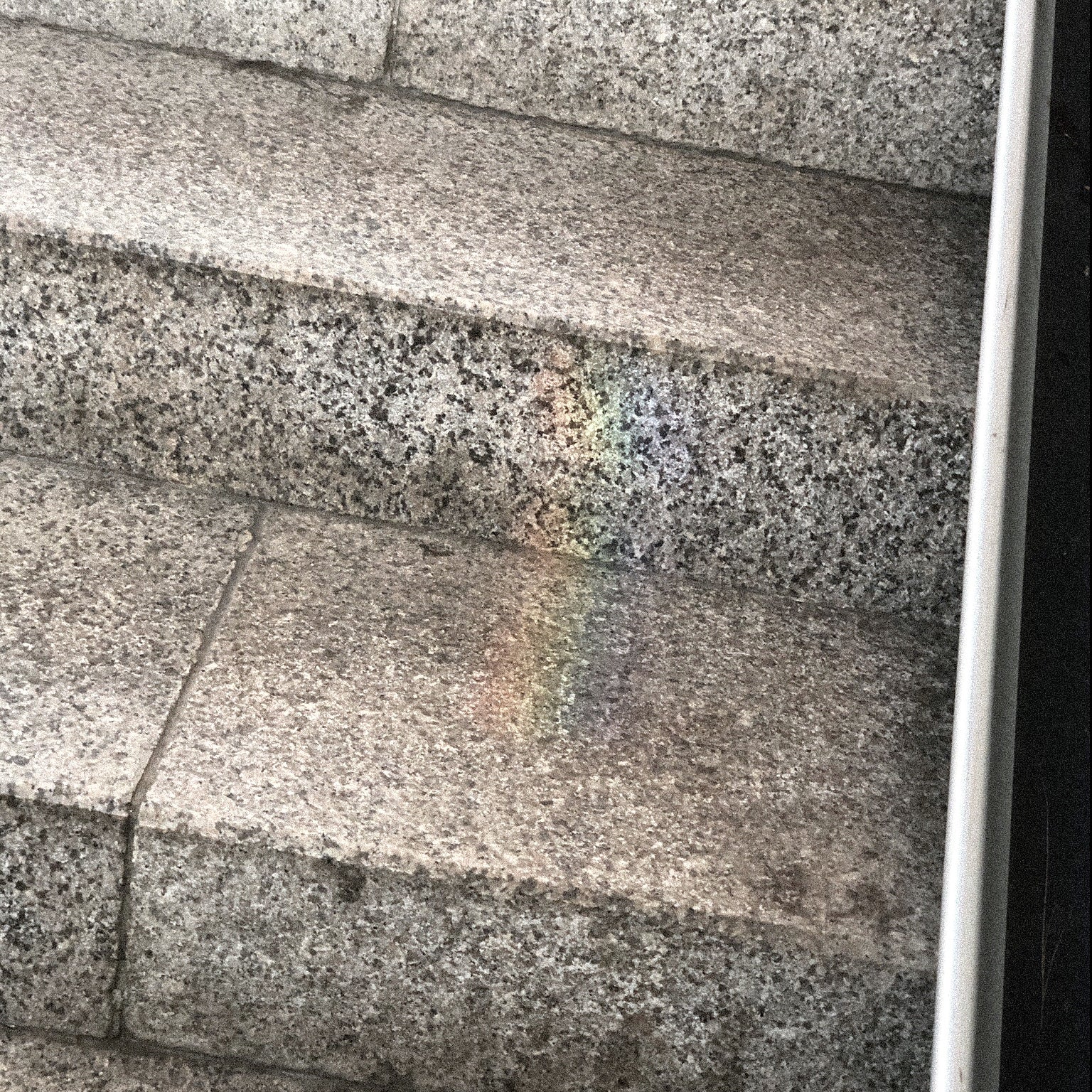 Foods That Help Promote Brain Function