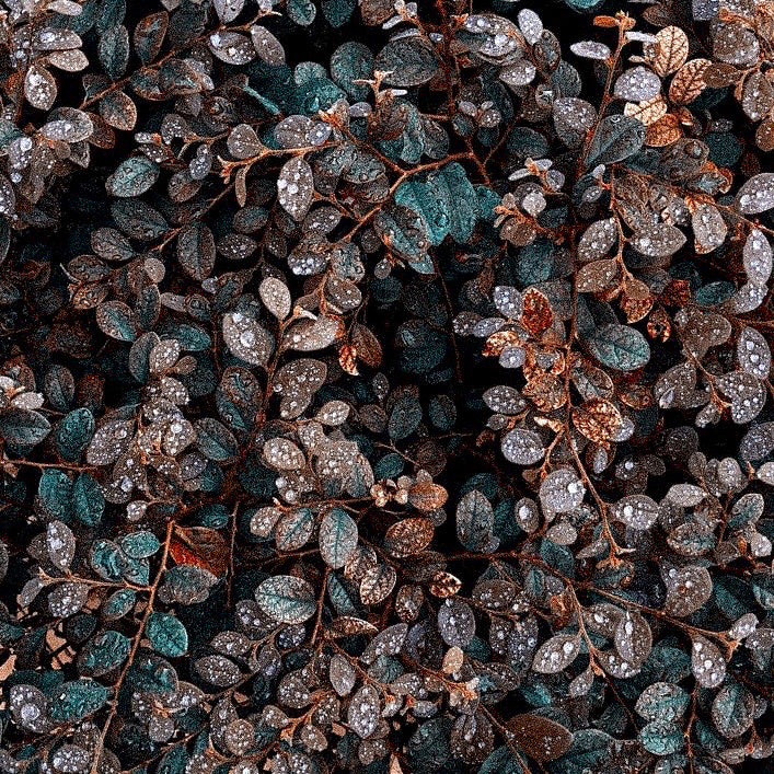 Journaling and Its Positive Impact on Your Overall Health