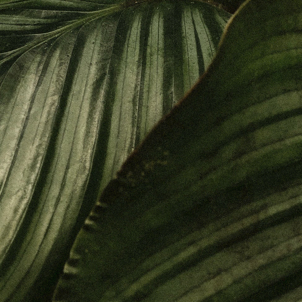 Non-Invasive Remedies to Help Treat Sciatic Nerve Pain