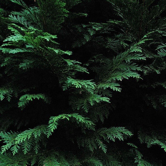 Methods on Overcoming Grief-Related Anxiety