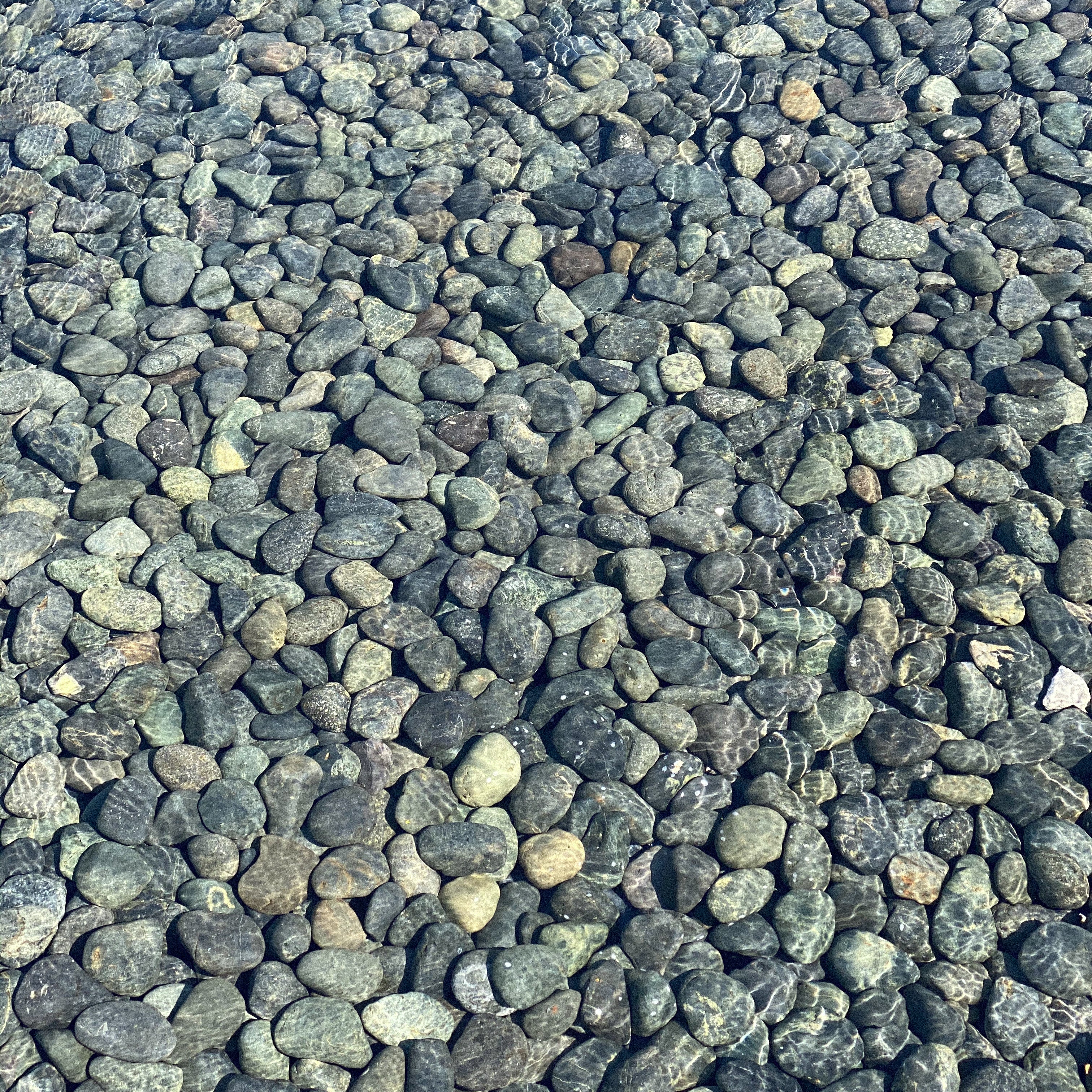 What is Diverticulitis and What Can Be Done About It?