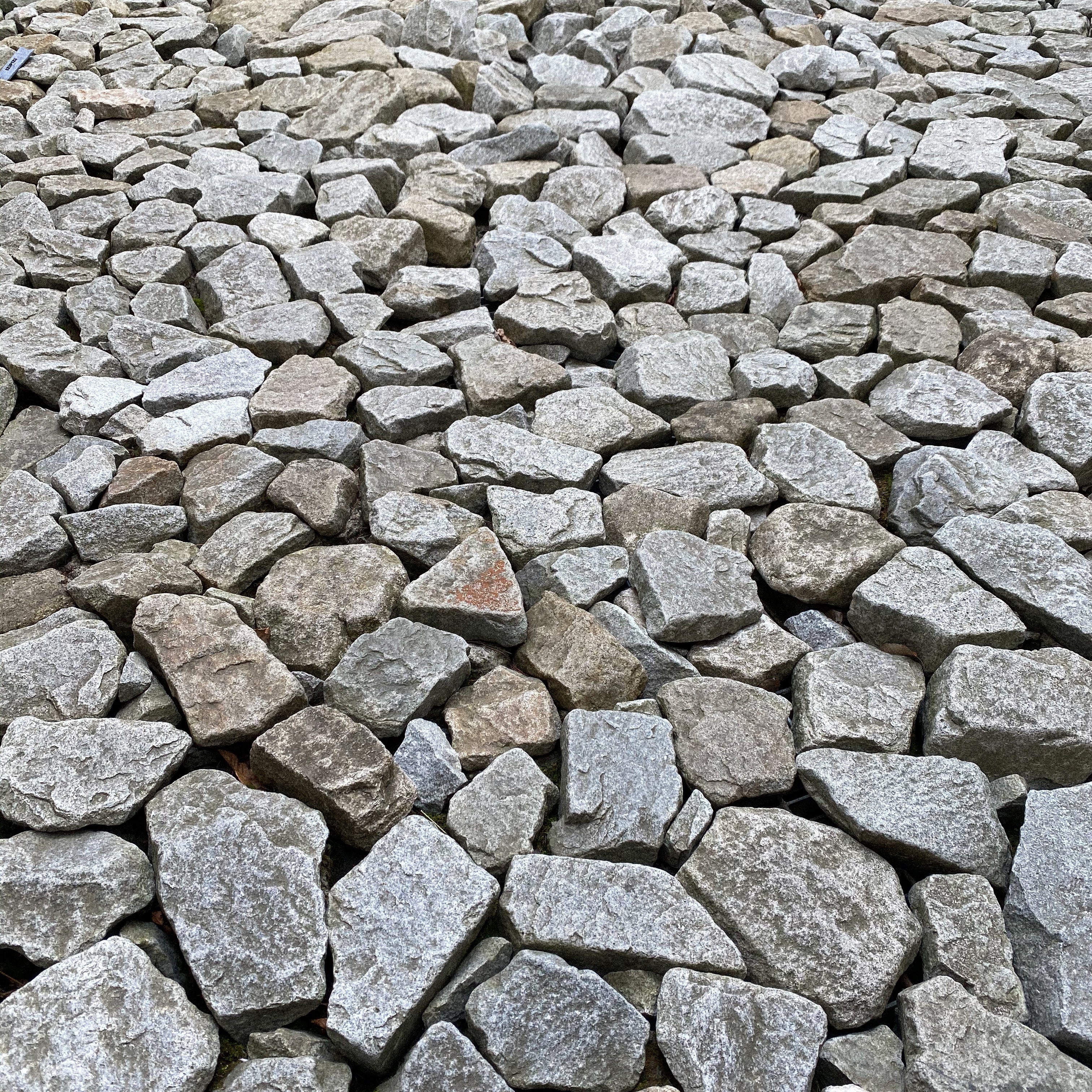 Benefits of Nordic Walking