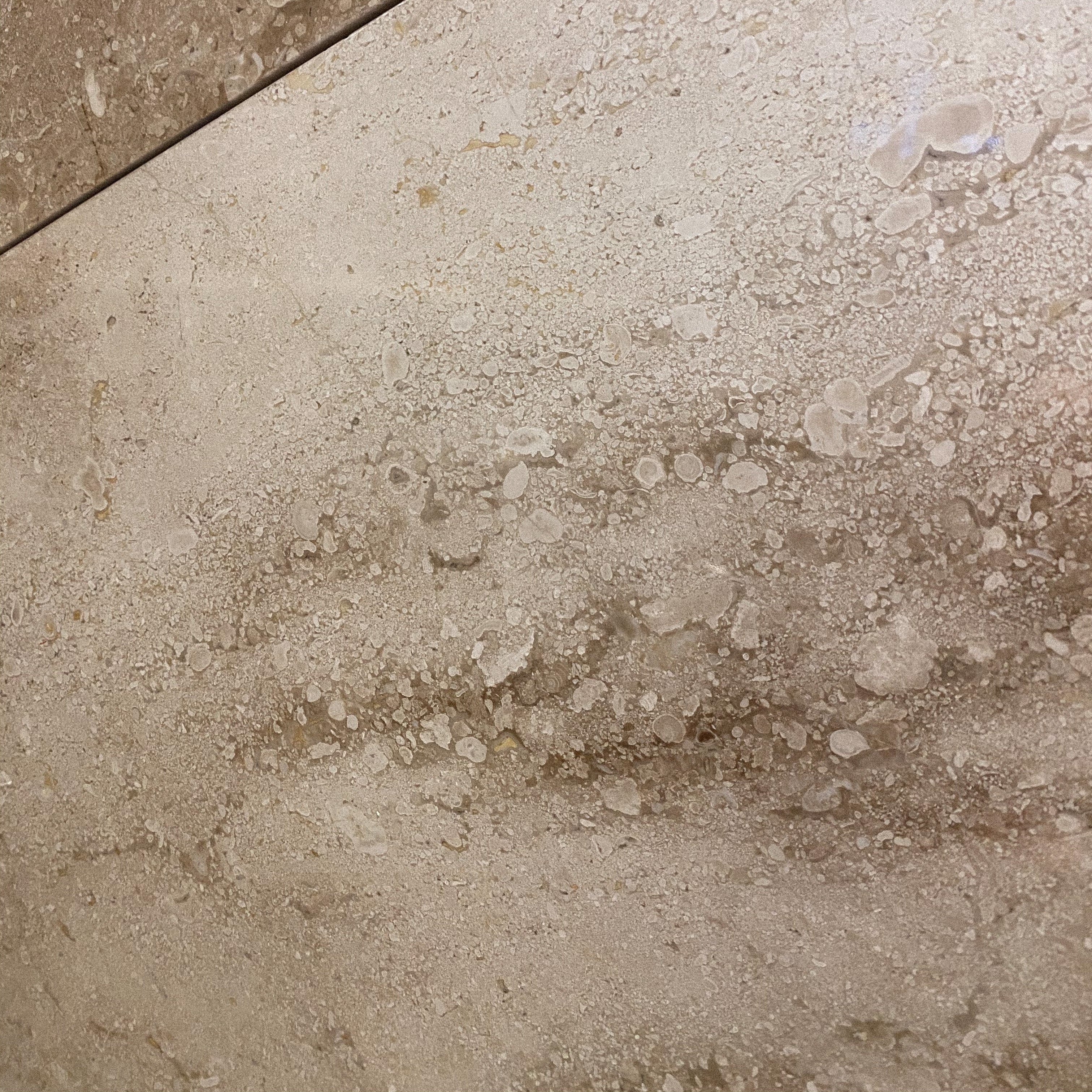 Chia Seeds: The Timeless Superfood