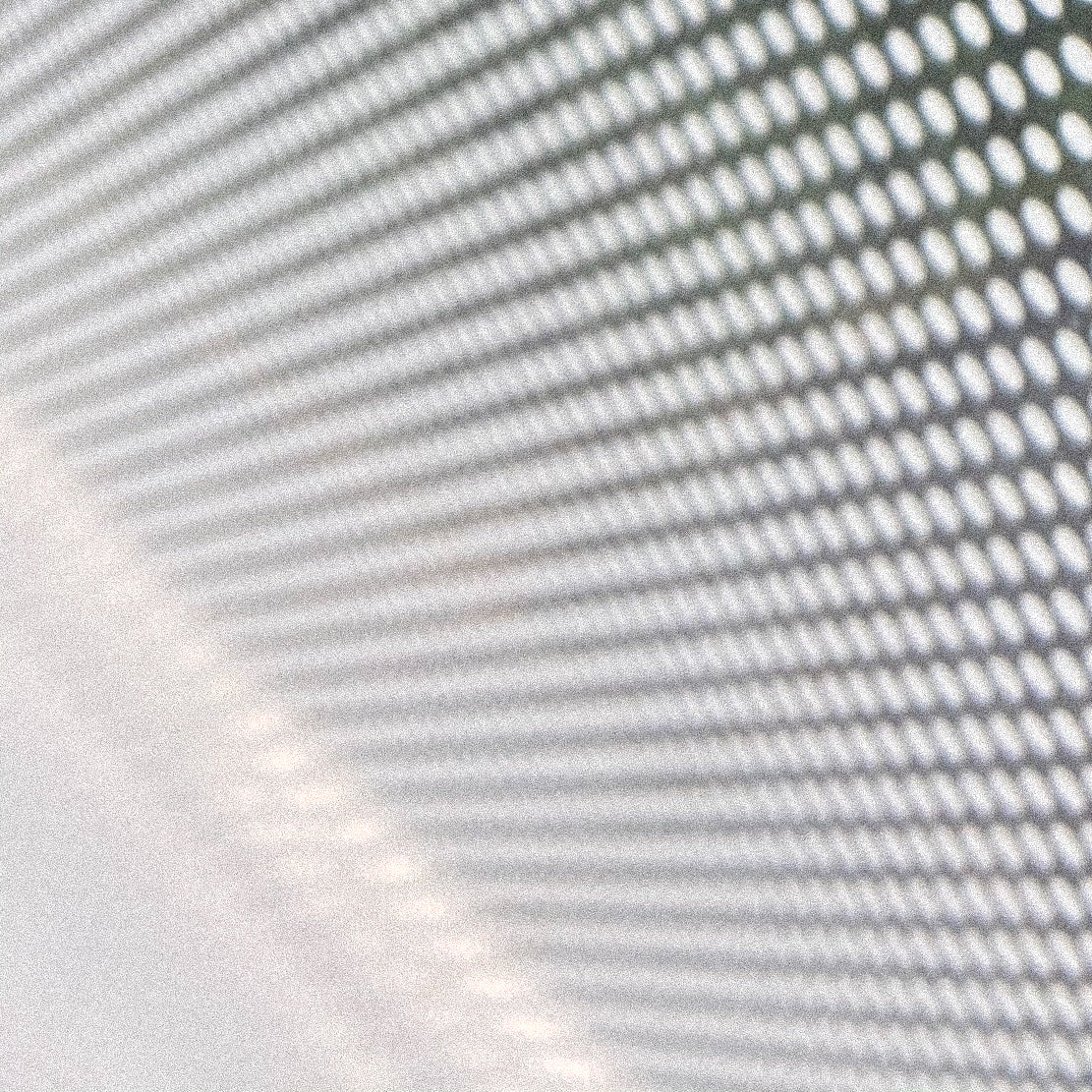 Does It Matter When You Eat?