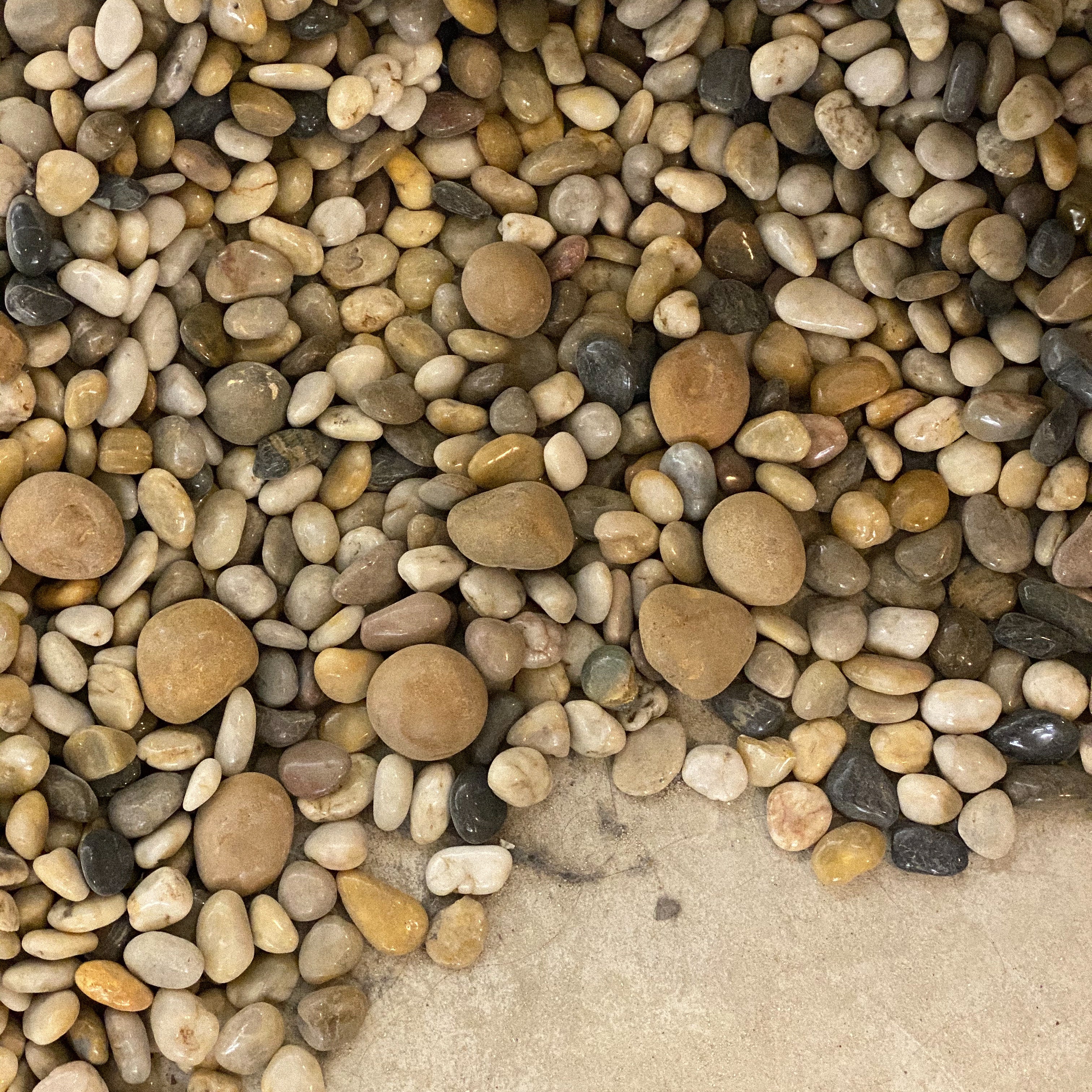 Natural Remedies for Mosquito Bites