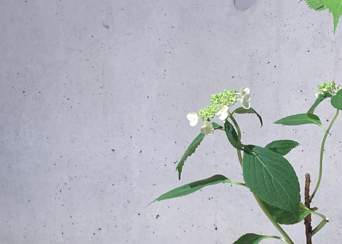 Yoga Breathing Techniques for Stress