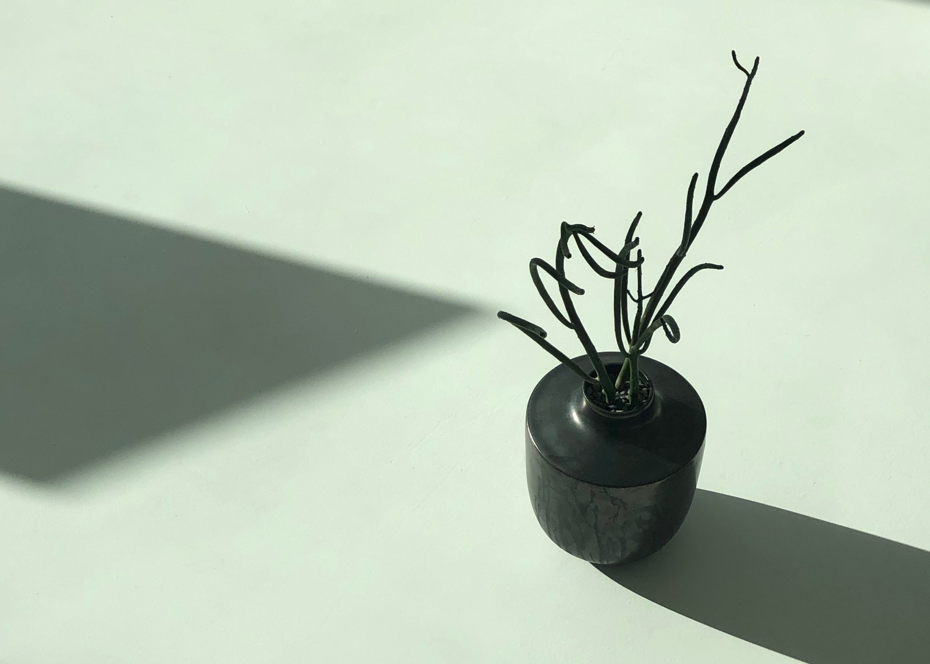 Circadian Rhythm and its Impact on Your Health